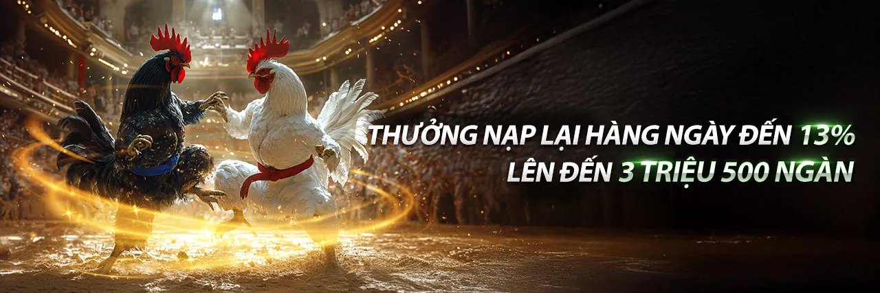 Sân vận động bóng đá với không khí sôi động của cá cược thể thao SHBETV1